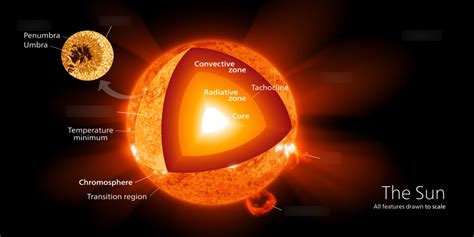 Surface Features of the Sun Diagram | Quizlet