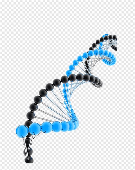 Dna, dna, element png | PNGEgg