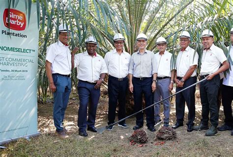 sime darby plantation history - Zoe Lee