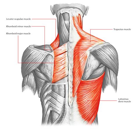 Building an Indestructible Body with “Outside the Box” Exercises | PCC ...