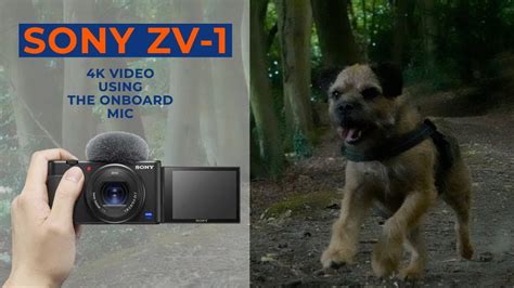 Sony ZV-1 4K Video Sample - YouTube