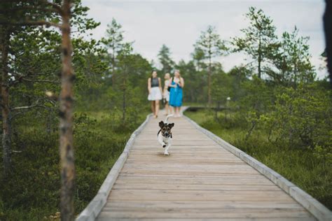 7 Pet-Friendly Vacation Spots in America