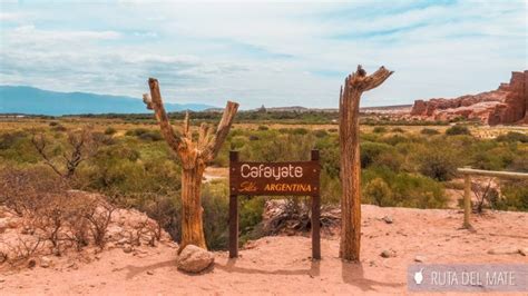 8 Things to Do in Cafayate, Between Vineyards and Ravines