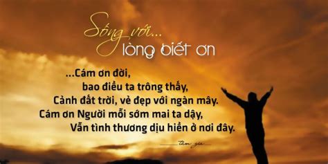 [TOP] những câu nói hay về lòng biết ơn cha mẹ, thầy cô sâu sắc