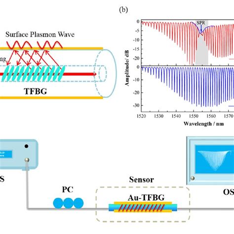 (A) Schematic of the tilted fiber Bragg grating (TFBG)-based surface ...