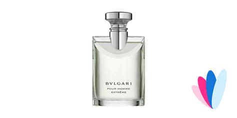 Bvlgari - pour Homme Extrême » Reviews & Perfume Facts