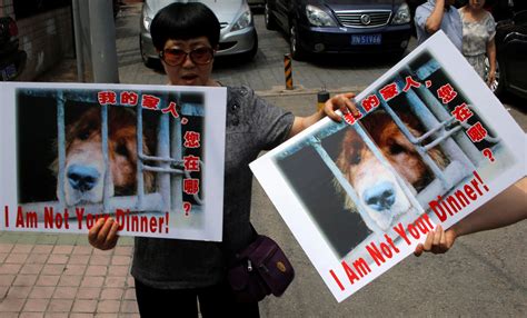 Millions of Chinese Call For End to Yulin Dog Meat Festival | TIME