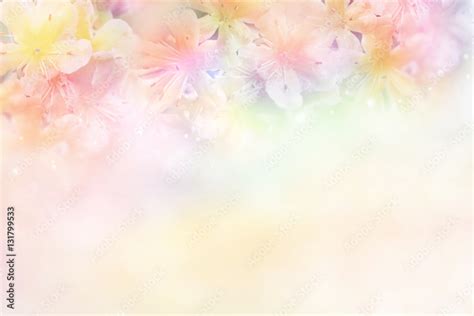 beautiful flower soft background in pastel tone for valentine or ...