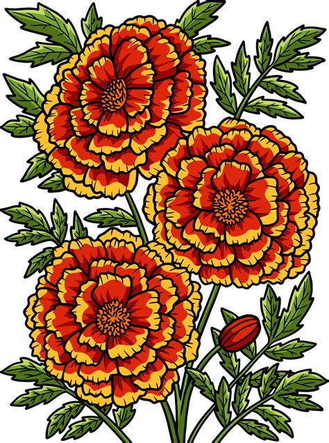 Marigold Flower Cartoon Colored Clipart 8822925 Vector Art at Vecteezy