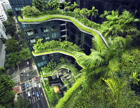 How Singapore is Pioneering the Way to Creating a Greener Urban ...