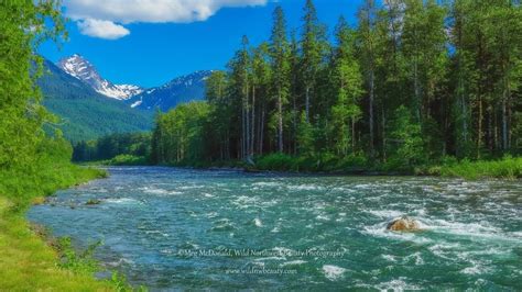 Stunning Sauk River Falls and Rapids: Cascade Mountains (HD) - YouTube