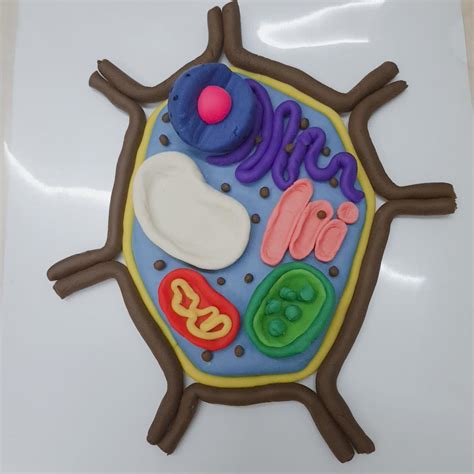 Plant Cell Model, Me, Clay, 2020 : r/Art