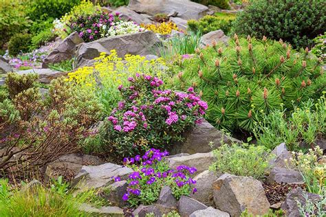 A Guide to Buying and Using Rockery Stones