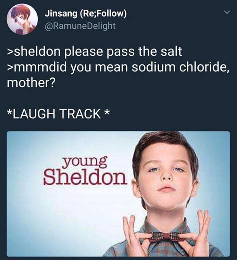 Young Sheldon | Know Your Meme