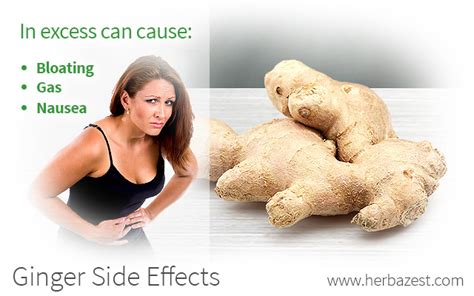 Ginger Side Effects | HerbaZest