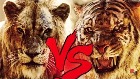 Scar 🦁 (2019 Live Action) 🆚️ Shere Khan 🐯 (2016 Live Action) | Battle ...