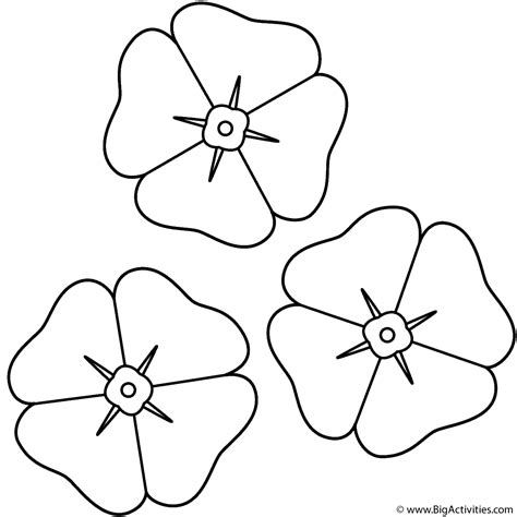 Poppies - Coloring Page (Anzac Day)