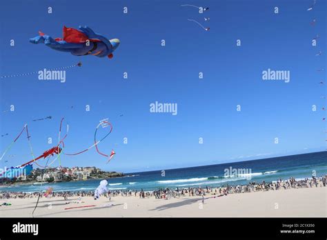 Australia’s largest kite flying festival, the ‘Festival of the Winds ...