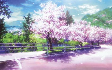 Cherry Blossom Anime Wallpapers - Wallpaper Cave