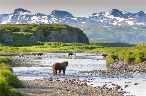 Quand partir en Alaska ? Guide de voyage | Tourlane