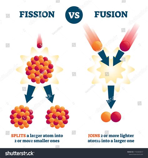 Fission Vs Fusion Vector Illustration Nuclear Stock Vector (Royalty ...