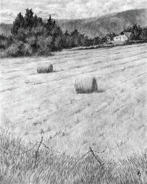 Ogden Valley Hay Farm Drawing by David King Studio