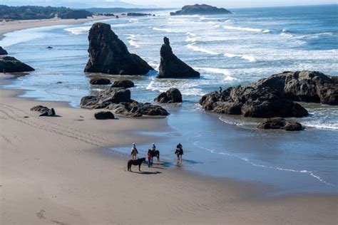 Things to Do in Bandon, Oregon | Wander With Wonder