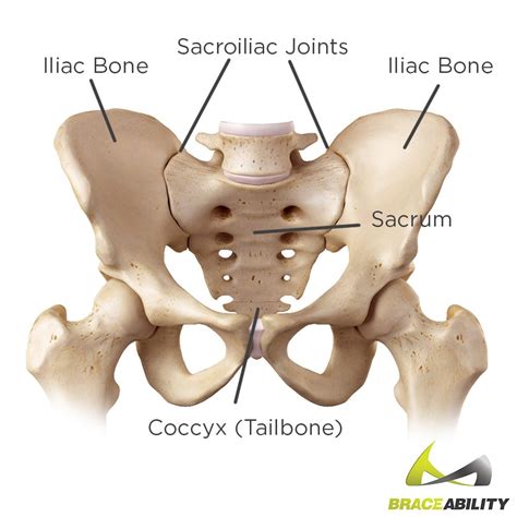 6 Best Sacroiliac Joint Pain Exercises, and 5 to Avoid