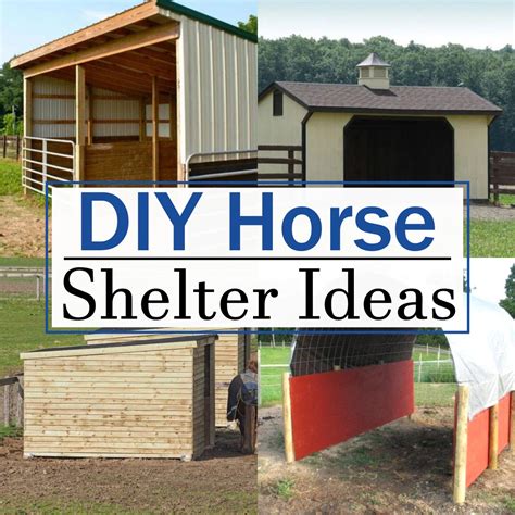 13 Free DIY Horse Shelter Ideas - Teb DIY