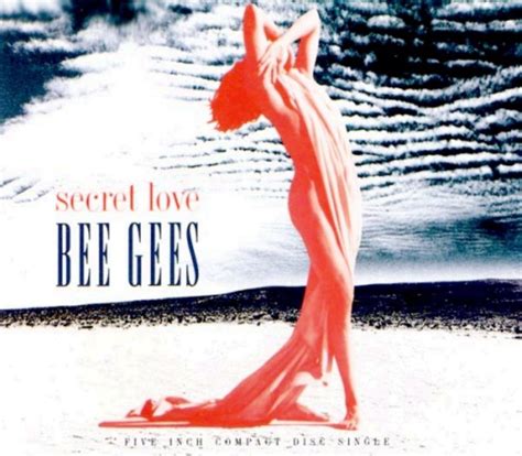 Amazon.com: Bee Gees - Secret Love - Warner Bros. Records - W0014CD ...