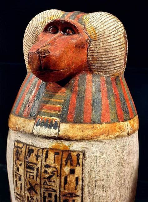 Egygala - Pseudo canopic jar with the baboon head of the... | Facebook