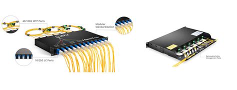 Fiber Patch Panel Wiring Diagram - wiring diagram creator