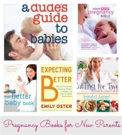 The New Pregnancy Bible: The Experts Guide to Pregnancy and Early ...