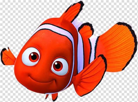 an orange and white clown fish with big eyes on it's face, looking at the