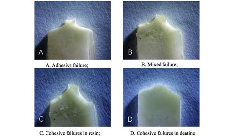 Fracture mode (10×). a. Adhesive failure. b. Mixed failure. c. Cohesive ...