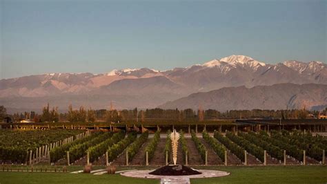 Los 3 paseos imperdibles de Luján de Cuyo en Mendoza