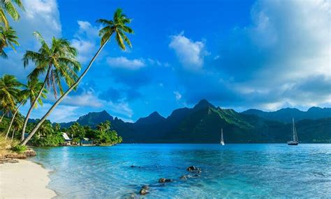 Top 5 Beaches in Tahiti – Tahiti Trip Ideas | Viator.com - Viator