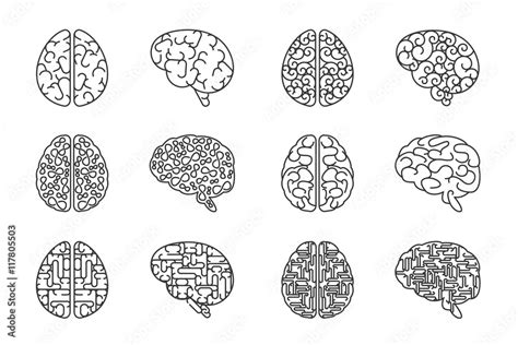 Vector outline human brain icons Stock Vector | Adobe Stock