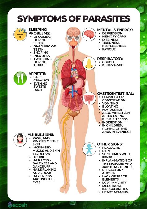 INTESTINAL PARASITES - The Symptoms of Parasites and How To Get Rid of ...