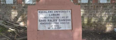 Nagaland University Lumami Exam Result | Nagaland University Result 2023