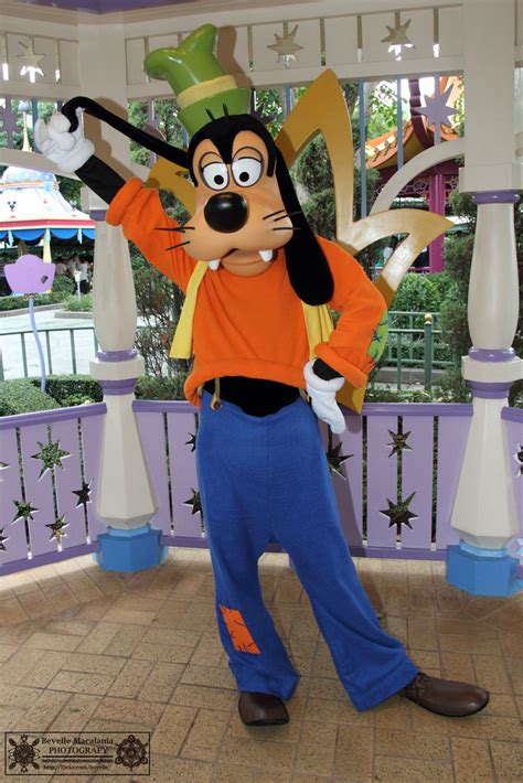 Goofy | Disney Parks Wiki | FANDOM powered by Wikia