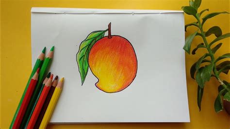 Mango Pencil Drawing: A Comprehensive Guide for Beginners