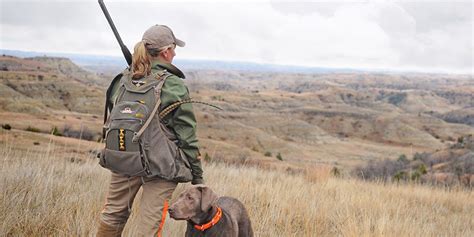 Quail hunting in Jones County Texas. - Texas Quail Hunting