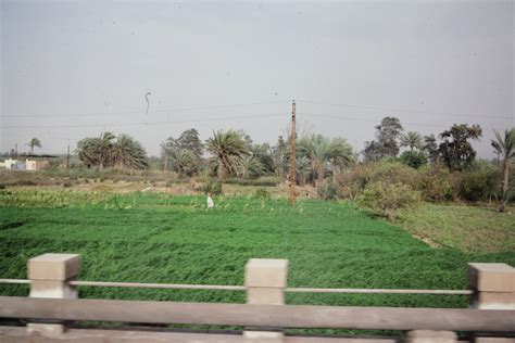 Nile river agriculture - Ned Levine Photographic Collection of Housing ...