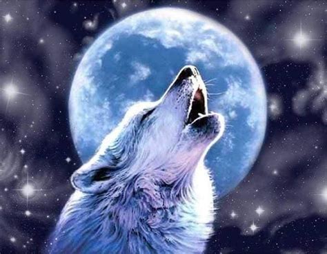 White Wolf - Full Moon Winter Night | Wolf howling at moon, Wolf ...