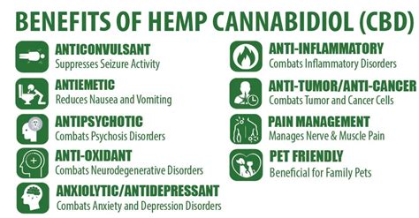 Hemp Oil Benefits - SRSINTLSRSINTL