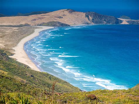 The Top Beaches to Visit in New Zealand – skyticket Travel Guide