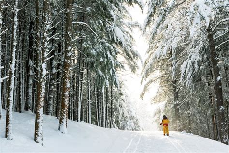 5 Top Ski Resorts in Maine, 2023/24 | PlanetWare