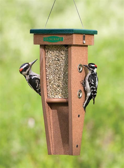 Duncraft.com: Duncraft Woodpecker Feeder | Woodpecker feeder, Bird ...