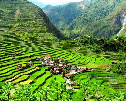 Banaue Rice Terraces | Banaue, Banaue rice terraces, Philippines travel